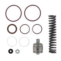 Lincoln Re-built kit for SL11 Injector 247842