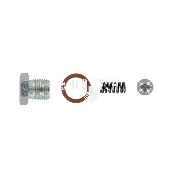 CHECK VALVE KIT 280073