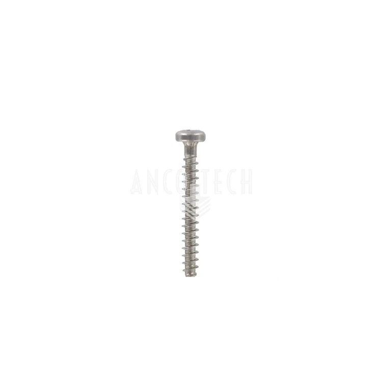SS SCREW PZD 3X25 FOR P203 BASE PLATE