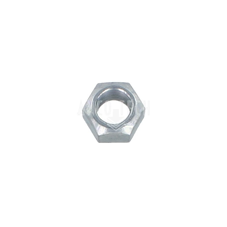 NUT 236203