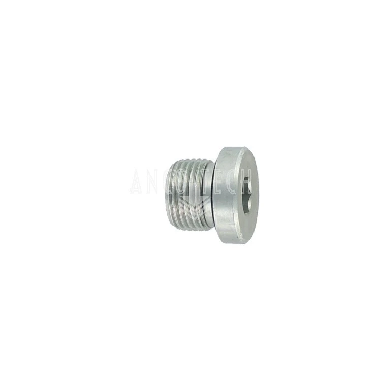 CLOSURE PLUG 3/8 BSP