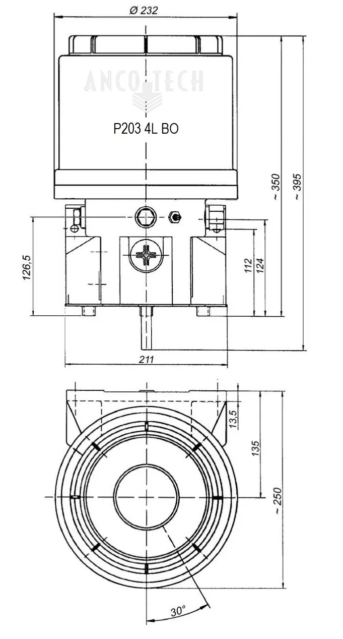 P203 GREASE PUMP 4L 24V + TIMER 1 x K7 1 x K5 OUTLETS