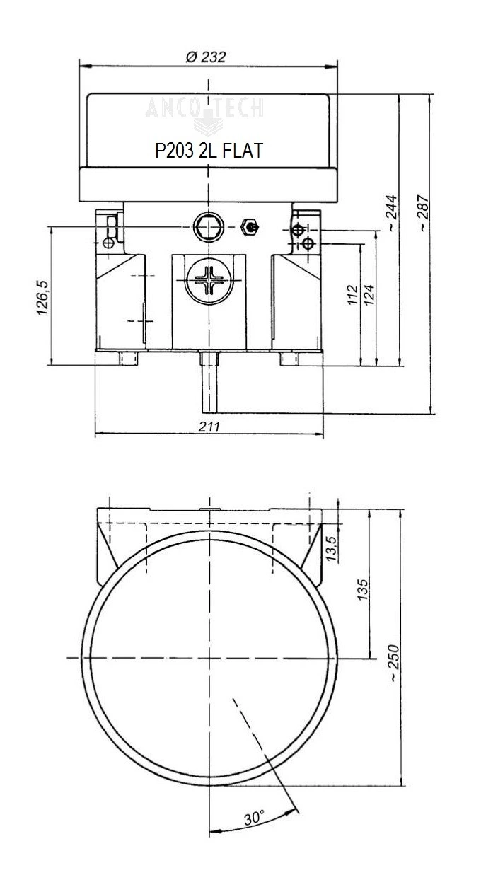 P203 GREASE PUMP 2L FLAT 24V + TIMER