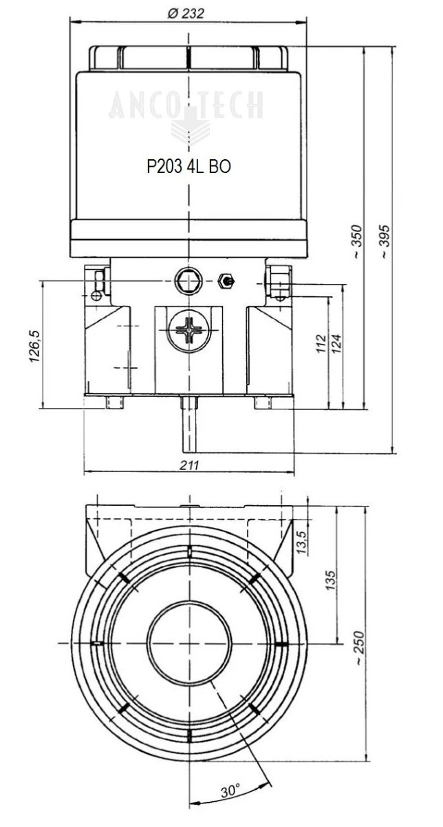 P203 GREASE PUMP 4L 230V + TIMER + LOW LEVEL CONTROL