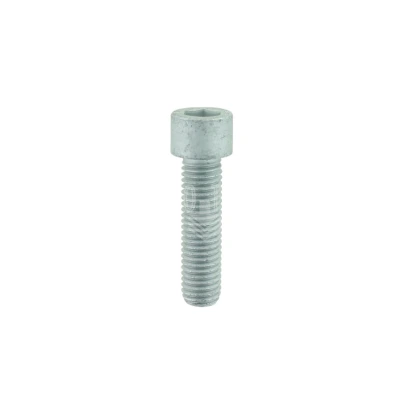 SCREW SOCK HEX. 10.9 M12X 45C