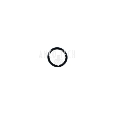 O RING 34174