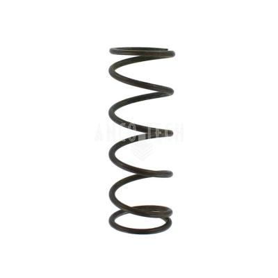 SPRING 55262