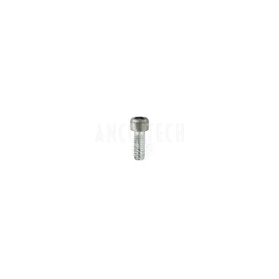 CAP SCREW 236869