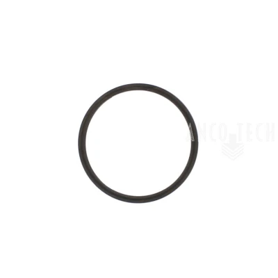 RETAINING RING 247273