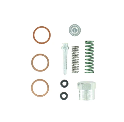 REPARATIE KIT 247954 VOOR SL42