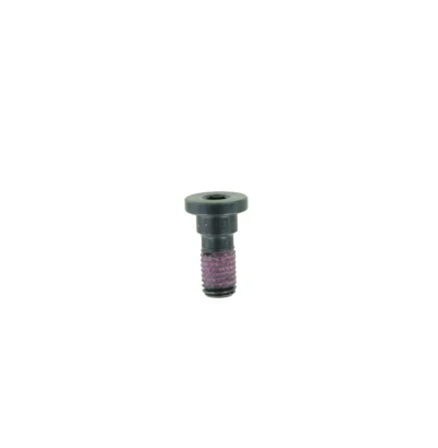 PIVOT SCREW  275006