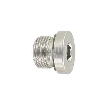CLOSURE PLUG 3/8 BSP Stainless Steel
