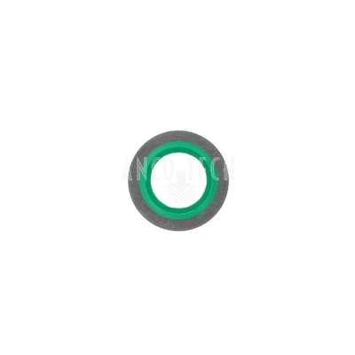 BONDED SEAL 1/4 BSP SS
