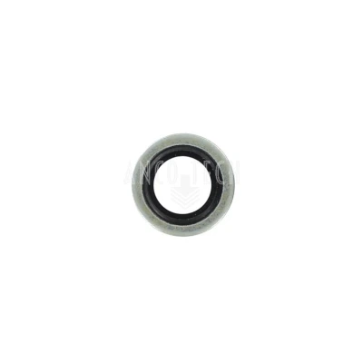 BONDED SEAL 1/4 BSP