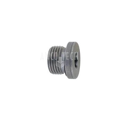 CLOSING PLUG 1/2 BSP