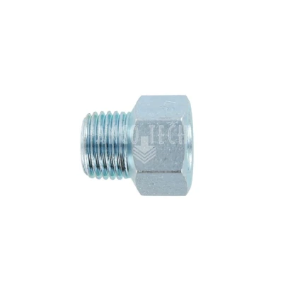 ADAPTER BSPT 1/4 M x M10x1 F