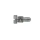 METERING SCREW 1.10 FOR VSG-D SS