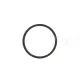 RETAINING RING 247273