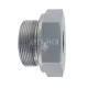 ADAPTER BSP 2" M x 1" BSP F