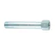 EXTENSION ADAPTER BSPT 1/4 M X 1/4 BSP W L=85MM